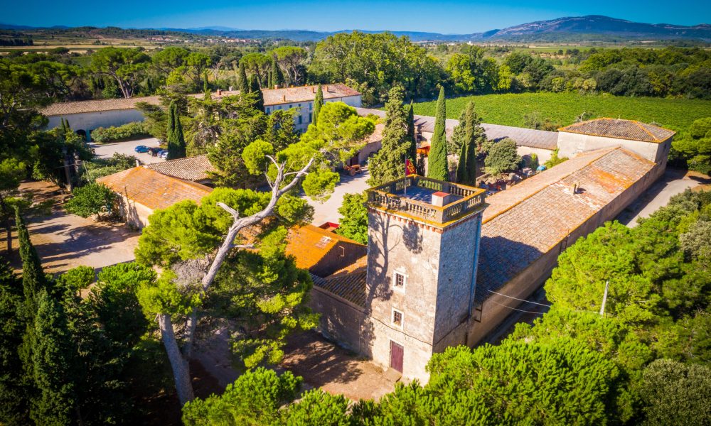 Degustation et vente de vin à Lezignan Corbieres