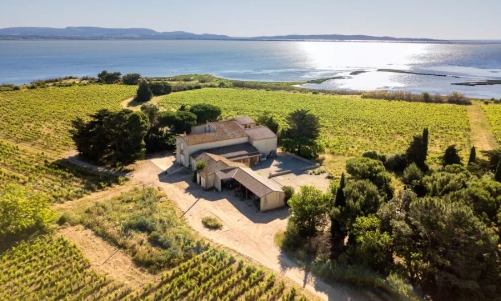 DOMAINE PILENIUM
