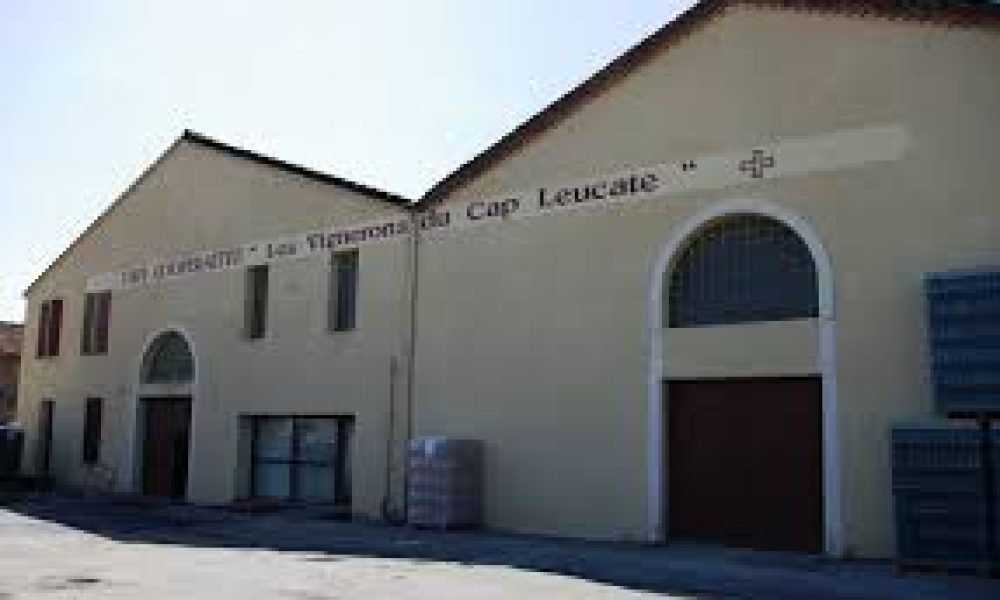 LEUCATE