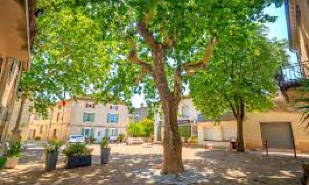 place luc